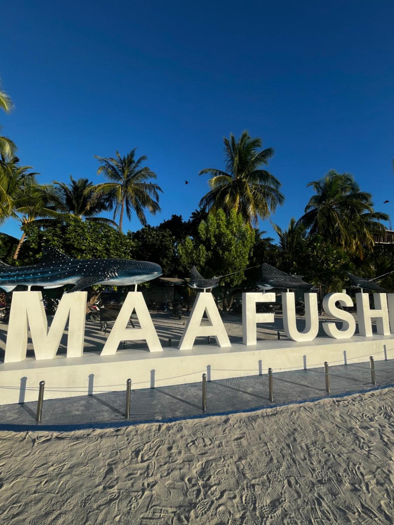 Paradise Peak Travels Bed & Breakfast Maafushi Exterior photo